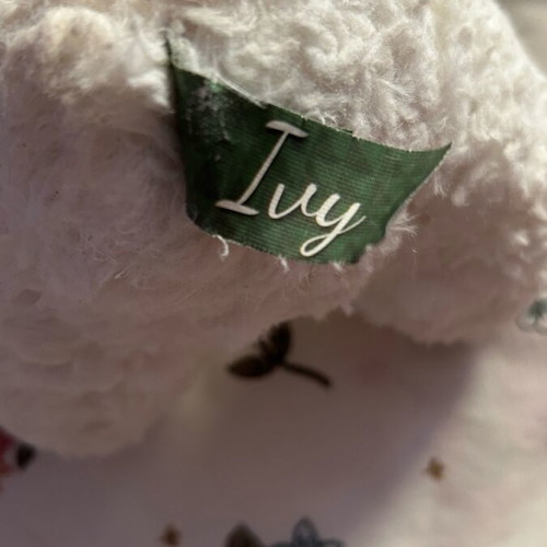 Suki stuffed bear with removable hood like new