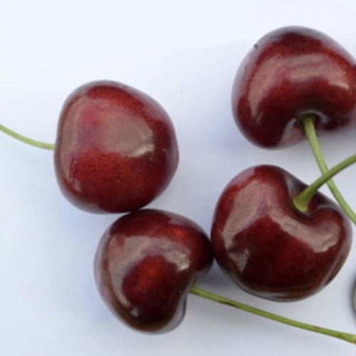 Fresh cherries direct from the farm, size 32+ mm