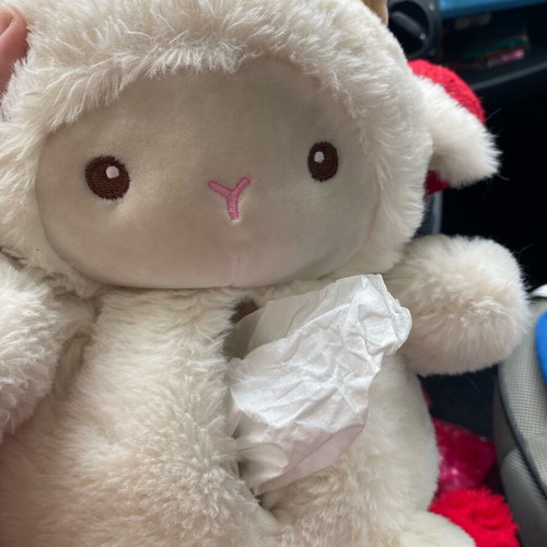 Handmade tissue holder like new with lamb design for car