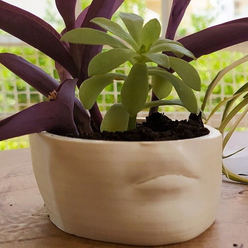 3D Printed Female Face Planter New
