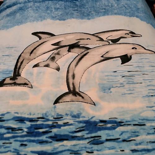 Double blanket with sea and dolphin design like new