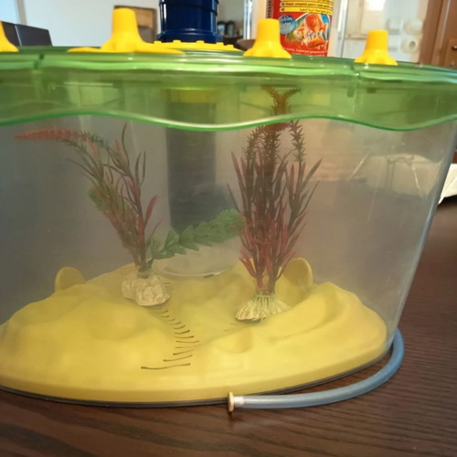 Clementoni AS aquarium for children, educational
