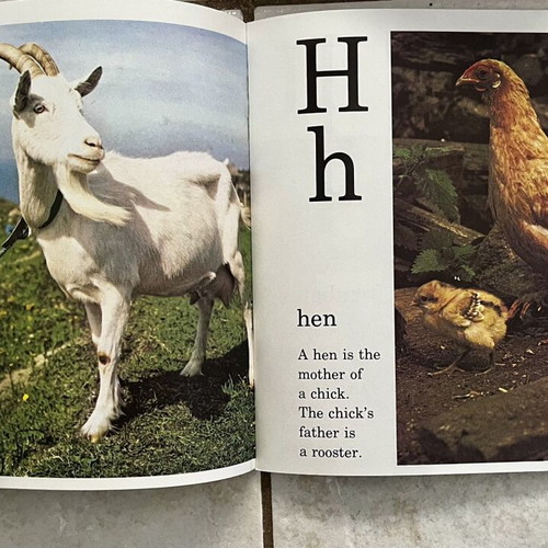 Set of 3 vintage English learning books for beginners or teachers