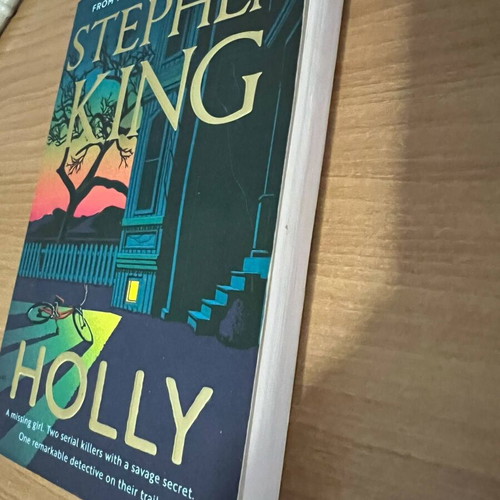 Holly book by Stephen King like new, horror, English