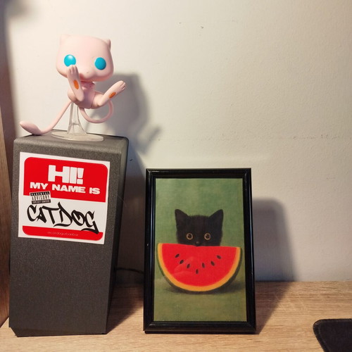 Cute Cat Frame with Watermelon 10x15 Kawaii Wall Art