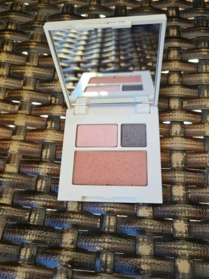 Clinique All About Shadow Duo 15 Uptown Downtown and Bashful Blush 20 like new
