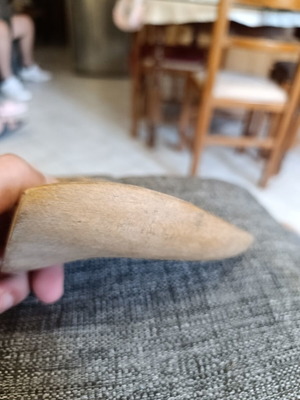 Vintage wooden shoe last
