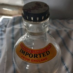Gordons bottle used