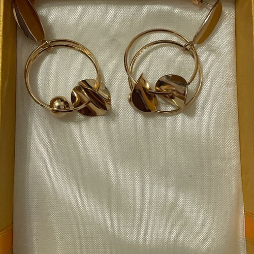 Earrings new