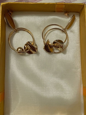 Earrings new