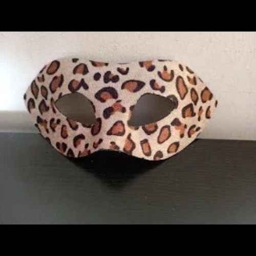 Adult carnival mask like new