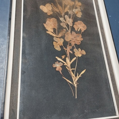 Frame very old used