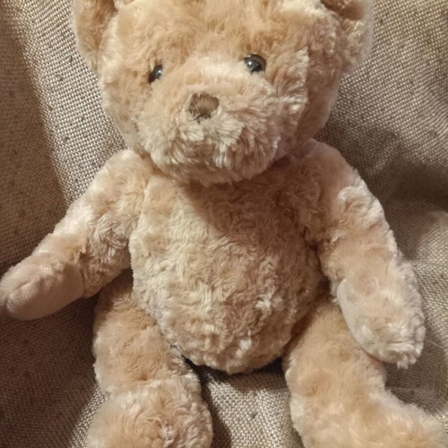 Teddy bear plush toy in good condition