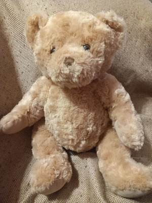 Teddy bear plush toy in good condition