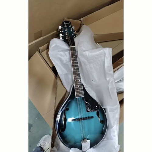 Mandolin new with protective case and extra gift