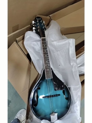 Mandolin new with protective case and extra gift