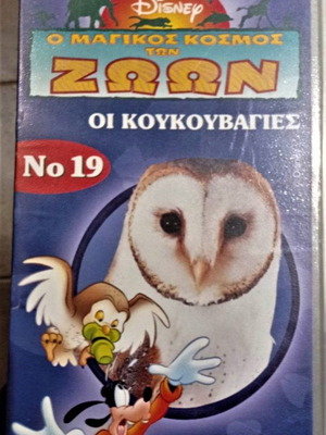 Disney VHS The Owls like new