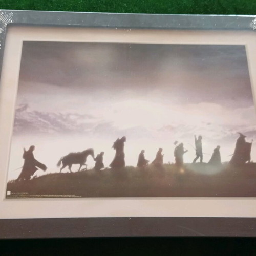 The Fellowship of the Rings frame new, size 30.5 x 40.6 cm