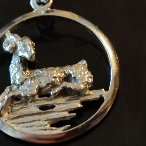 Zodia silver 925 set new