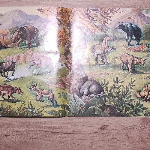 Panini Super Zoo 1975 album used, completed
