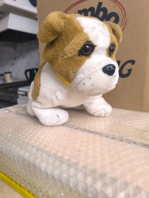 Saint Bernard plush dog like new
