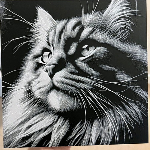 3D Cat Portrait Decorative Painting new