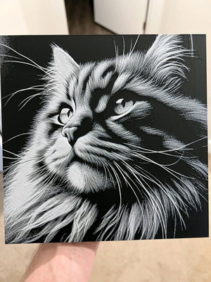 3D Cat Portrait Decorative Painting new