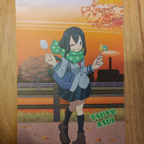 My Hero Academia print new from anime series