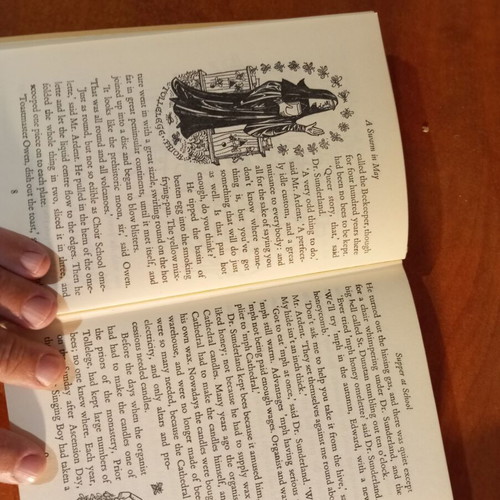 A Swarm in May by William Mayne used, English edition