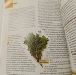 Prevention magazine used