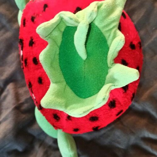 Strawberry Bear used from Continent 1990s