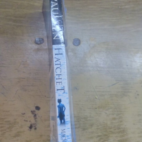 Hatchet by Gary Paulsen used, English