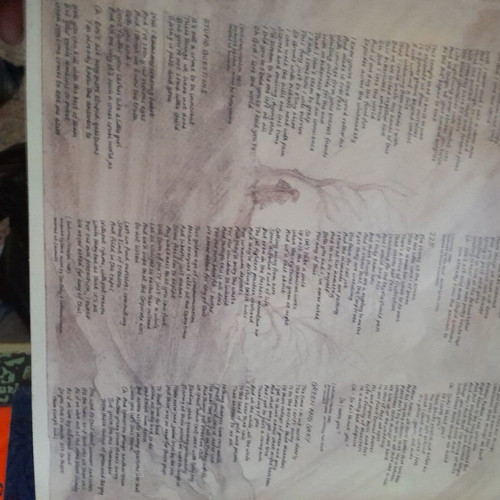 New Model Army Thunder and Consolation vinyl like new, rock