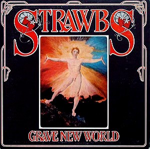Strawbs – Grave New World Vinyl, LP, Album, Stereo, Tri-Fold Sleeve