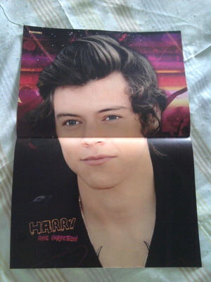 One Direction (Harry Styles) poster like new