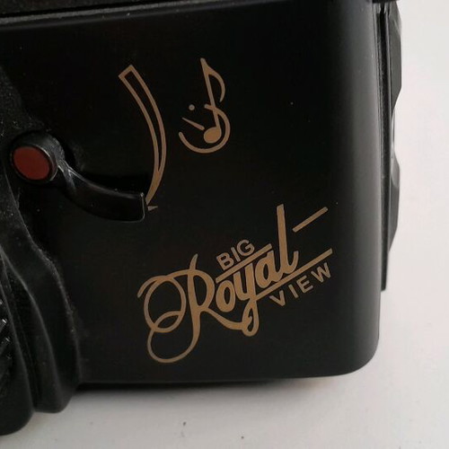 Sony Big Royal View 35mm analog camera used, film