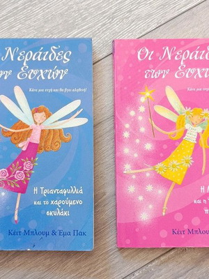 The Fairies of Wishes children's books used, set of 2