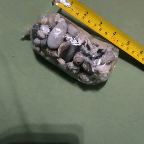 Small decorative sea shells and small stones new