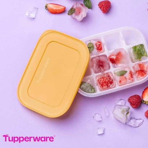 Ice cube trays 12 slots, set of 2, new