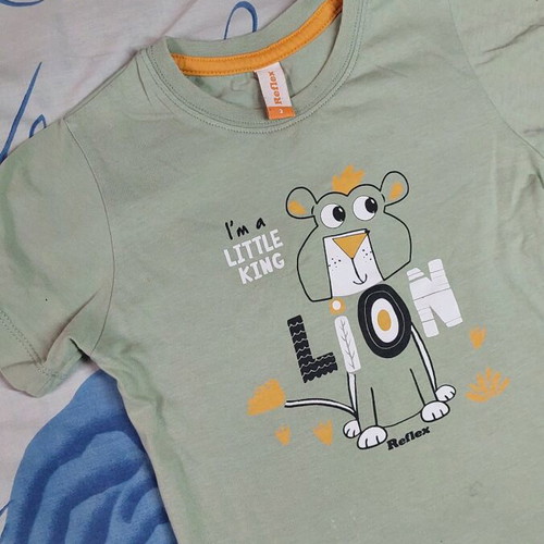 Reflex t-shirt used for 2 years with small defect