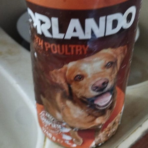 Orlando dog food can new 1.250Kg