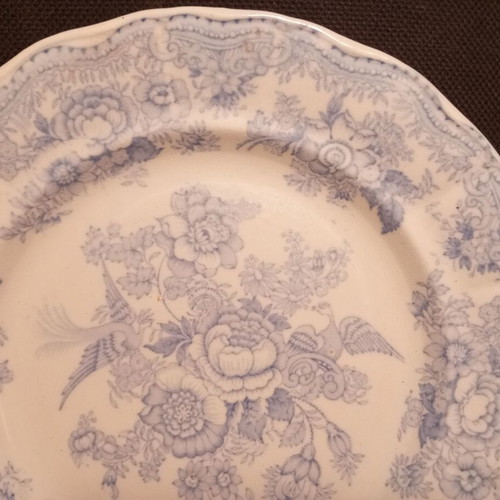 Ralph Hammersley & Sons Asiatic Pheasants plate vintage decorative, used