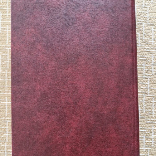 Thymomena Stachya by M. Lountemis like new