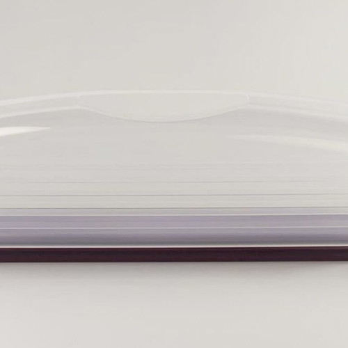 Tupperware Delisie collectible new, color