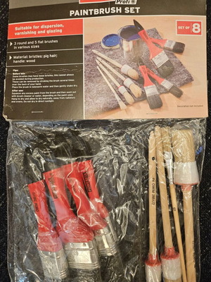 Paintbrush set new, 8 pieces