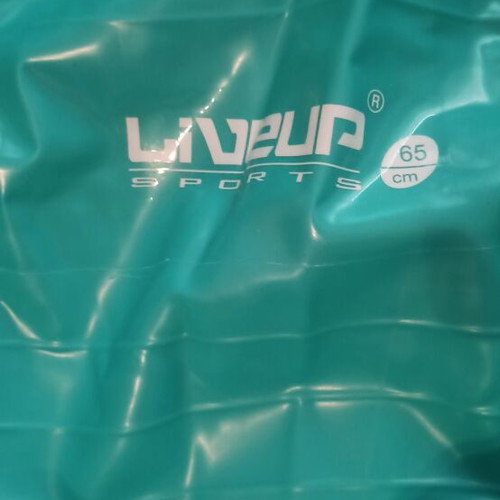 LiveUp exercise ball 65 cm