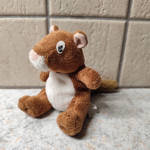 Squirrel doll used
