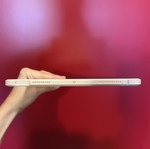 iPad Air case new