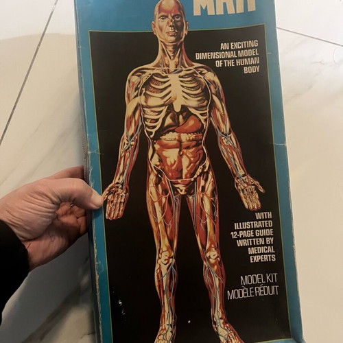 Rare 70s Revell human body model kit like new