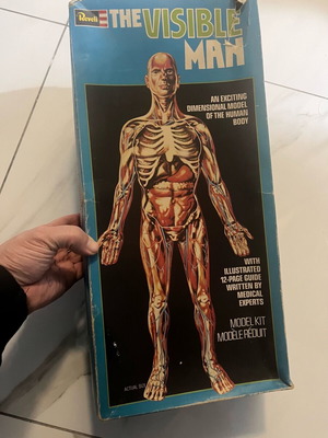 Rare 70s Revell human body model kit like new